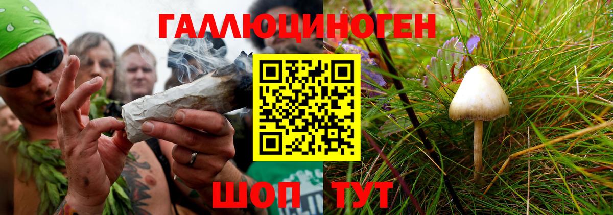 как найти закладки  Псилоцибиновые грибы прущие грибы  Вход с VPN  Белово 