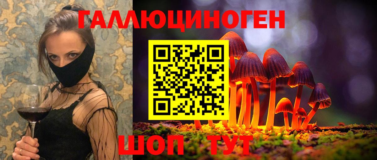 Галлюциногенные грибы Psilocybe Белово